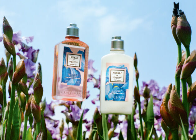 Aromachologie Gentle & Balance Conditioner - L'Occitane