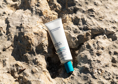 Aromachologie Gentle & Balance Conditioner - L'Occitane