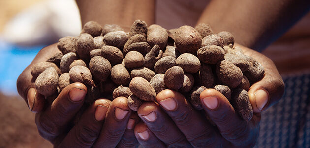 시어 버터