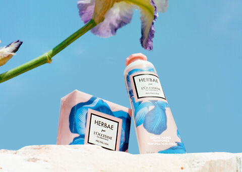 Aromachologie Gentle & Balance Conditioner - L'Occitane