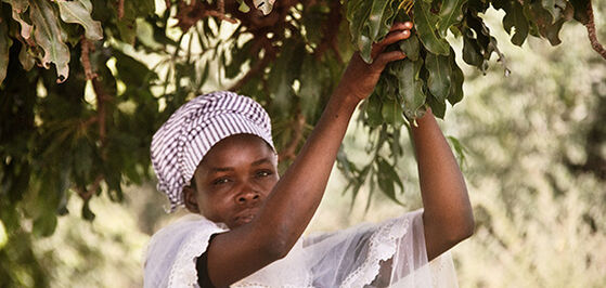 L'Occitane Empowering Women