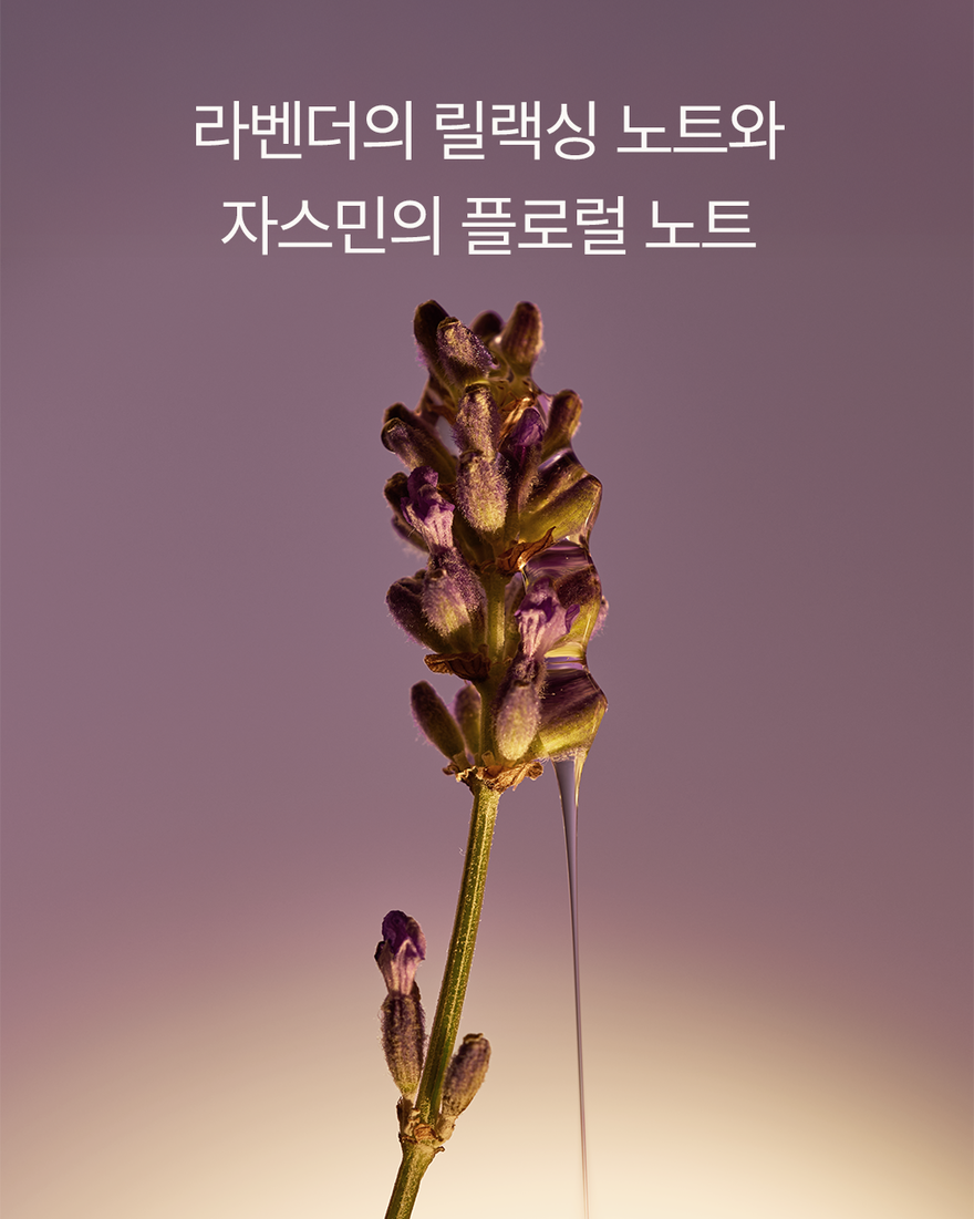 대표 이미지 6/6, 시어 라벤더 리퀴드 핸드 솝 (카리테 콩포르), , KRRECT