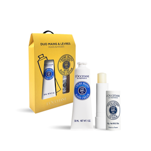 [기프트] 시어 버터 핸드크림 & 스틱 립 밤 듀오 | L’Occitane en Provence