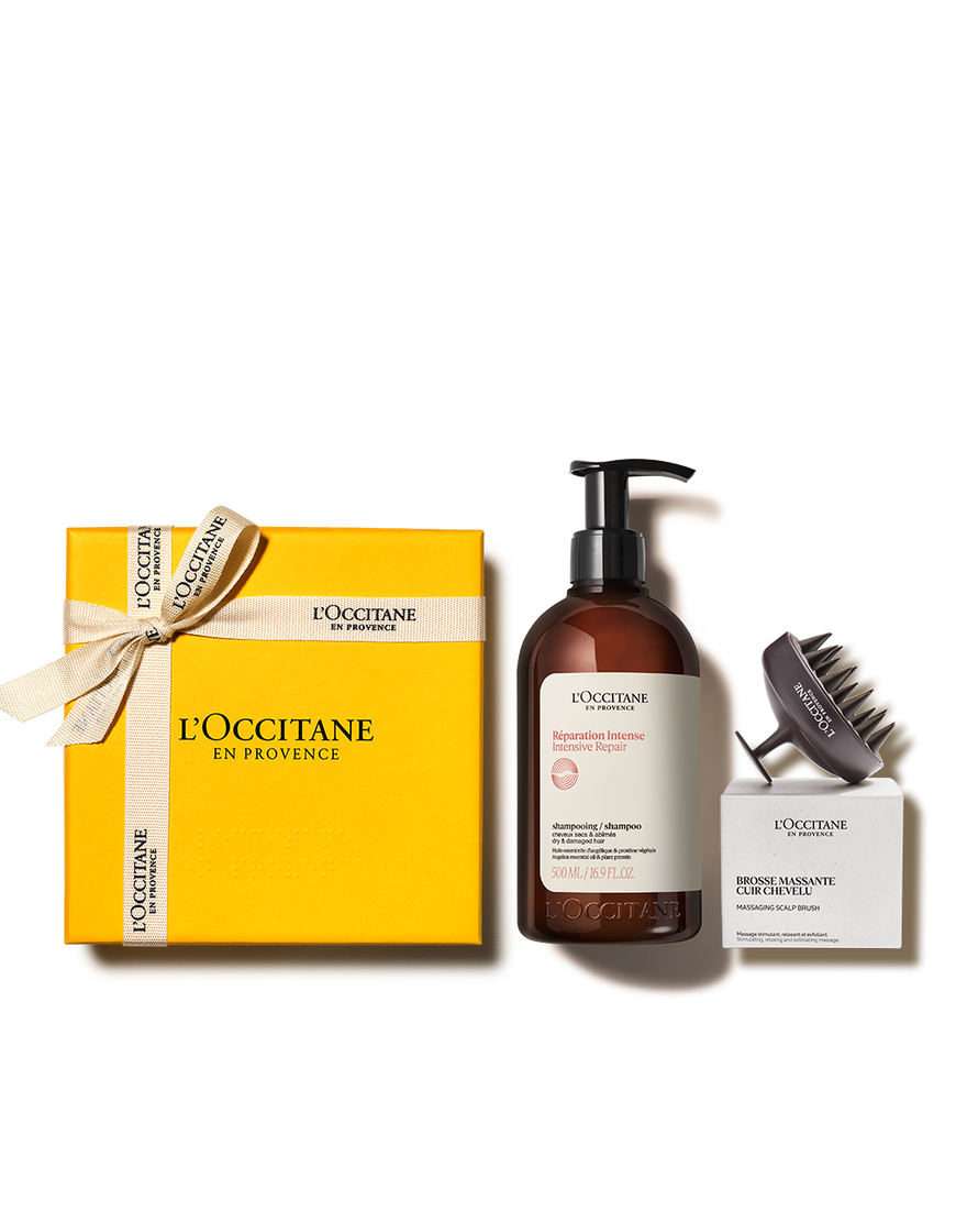 [기프트][손상모케어] 인텐시브 리페어 샴푸 500ml 세트(+두피 브러쉬) | L&rsquo;Occitane en Provence